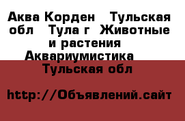 Аква Корден - Тульская обл., Тула г. Животные и растения » Аквариумистика   . Тульская обл.